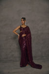 Ziva Sequin Saree